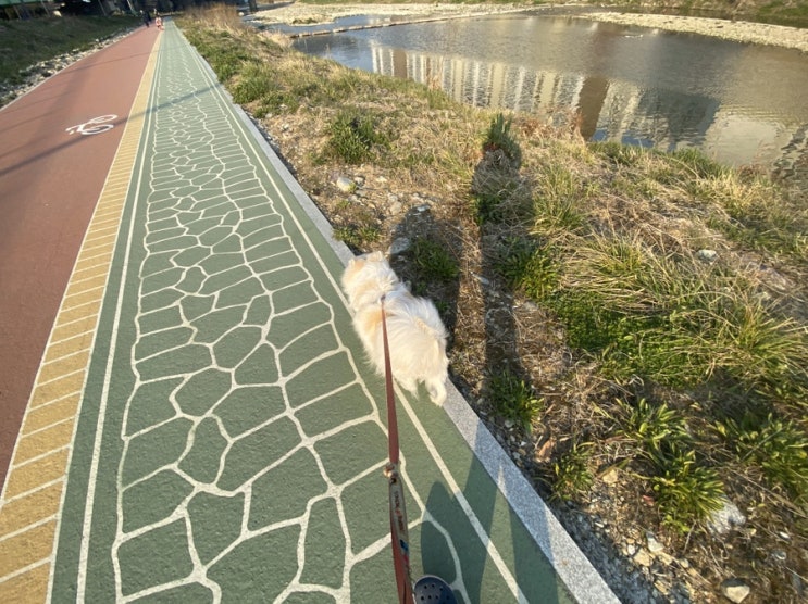  살빠진 방울도뤼
