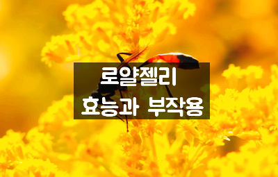  로얄젤리 효능과 부작용