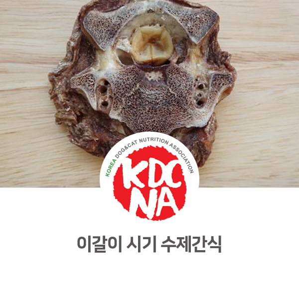  [반려인이 알아야할 필수 정보] 이갈이 시기 강아지 수제간식 추천_144
