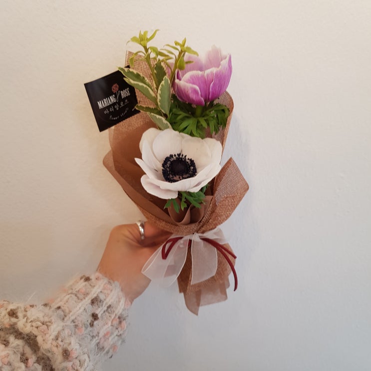  [MARIANGROSE] 아네모네 두송이포장, 미니 꽃다발, 기념일선물 - 연남동꽃집, 홍대꽃집, 상암동꽃집