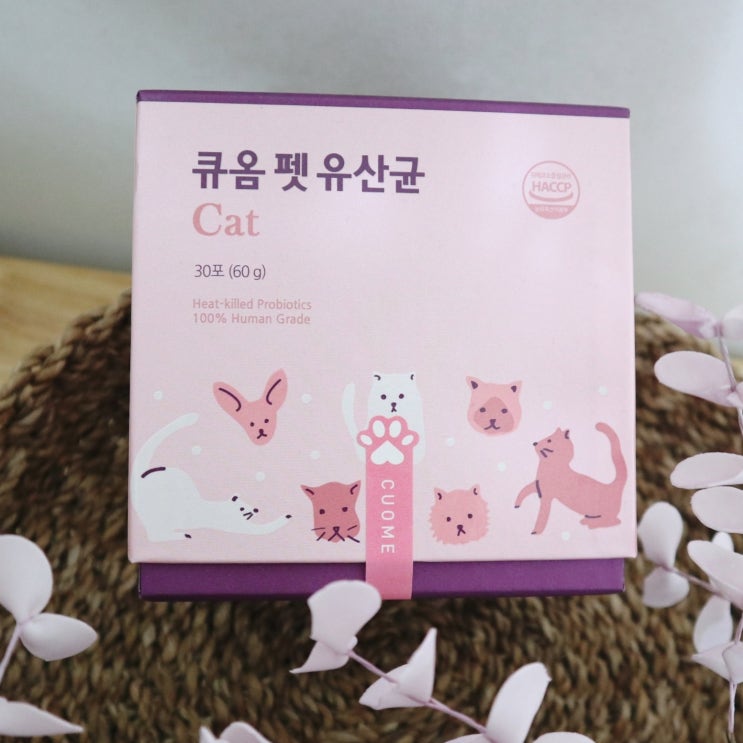 큐옴바이오 고양이 면역유산균 :: 3,000억 큐옴 펫 유산균