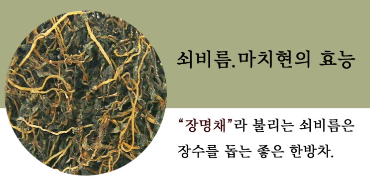 쇠비름 장수를 돕는 한방차