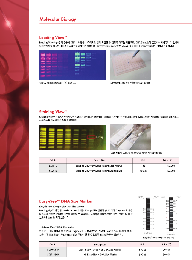  Molecular biology