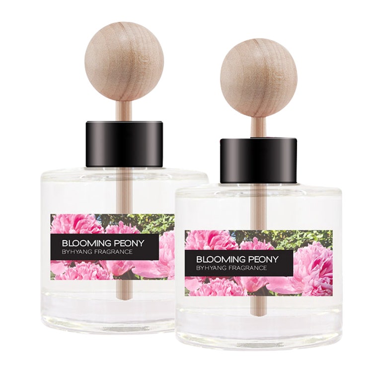 (로켓배송)더허브샵 바이향 오토모티브 차량용 디퓨져 50ml x 2p 세트, 블루밍 피오니 추천해요 (로켓배송)더허브샵 바이향 오토모티브 차량용 디퓨져 50ml x 2p 세트, 블루밍 피오니 추천해요