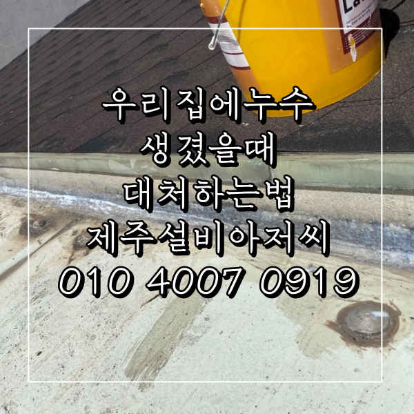  우리 집에 누수 생겼을 때 대처하는 법 제주 설비 아저씨