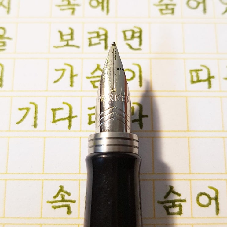 꽃을 보려면 (파커 조터 f닙)