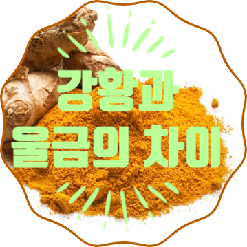  강황과 울금의 차이 면역력에 좋은 음식 밥할 때 울금 한끼굽바