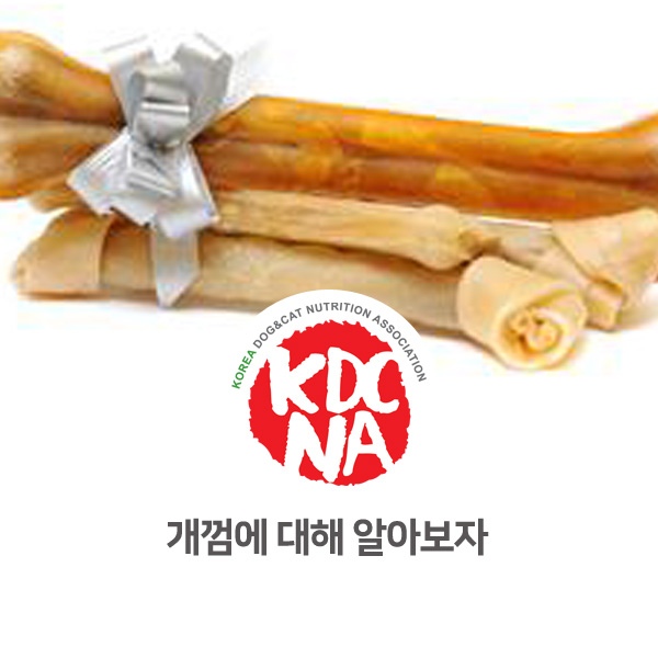  [반려동물 영양 펫푸드 전문가 과정] 개껌에 대해 알아보자_107