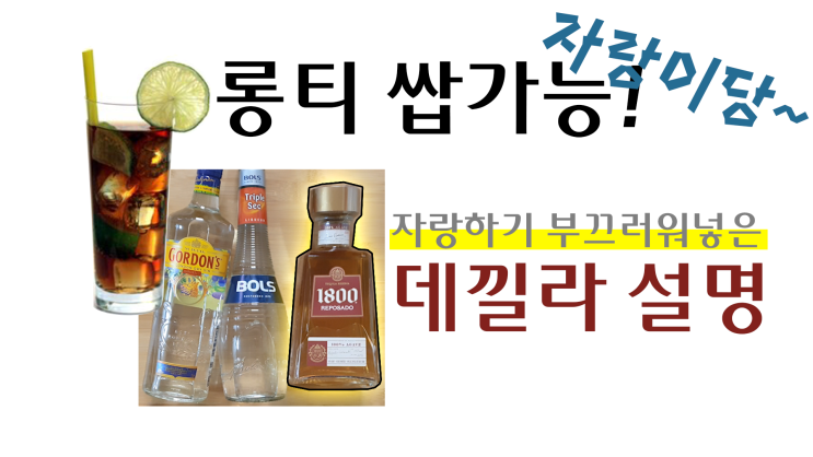  롱티 베이스 구입 완료~!! ++데낄라에 대해