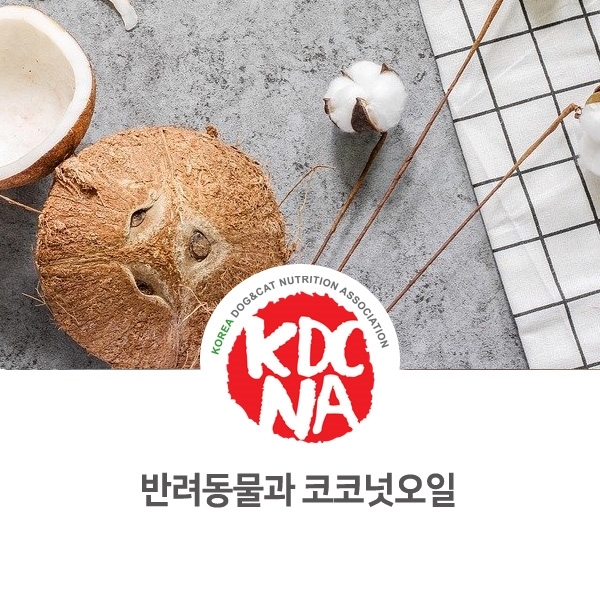 [강아지 고양이 음식 정보] 반려동물 코코넛오일 올바른 급여방법_149