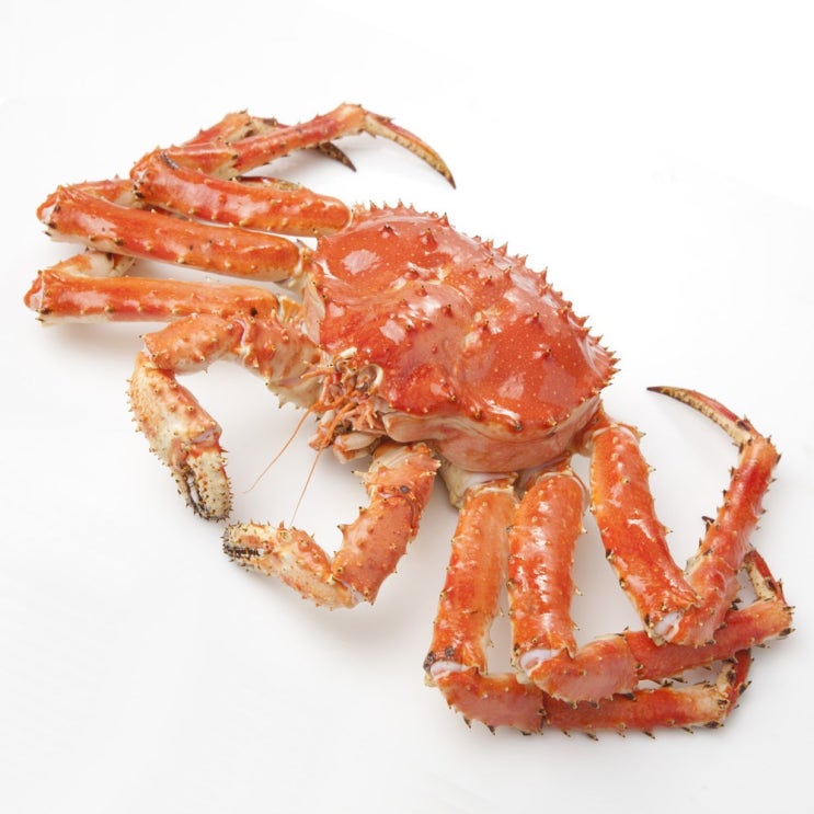 크랍스타 자숙 킹크랩, 1마리, 3kg 추천해요 크랍스타 자숙 킹크랩, 1마리, 3kg 추천해요