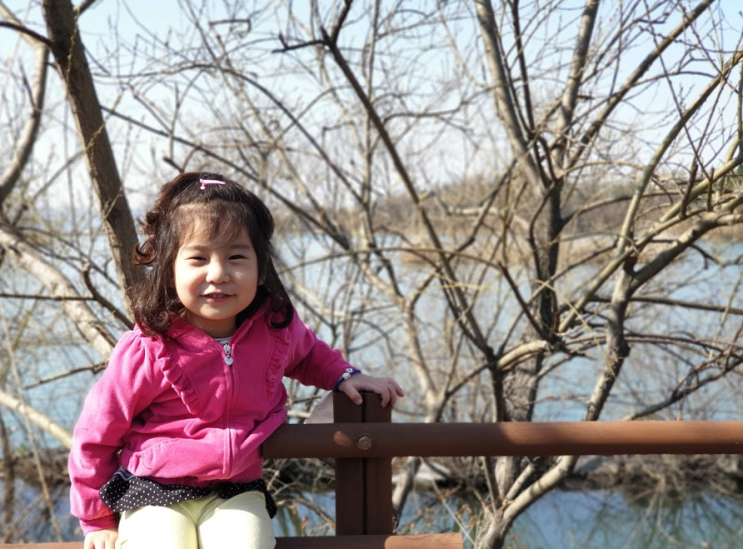 충주 호암지, 산책하기 좋은 곳