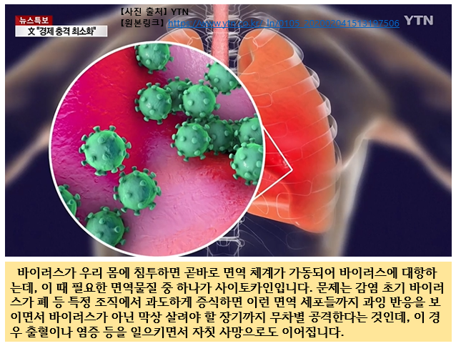  사이토카인 폭풍 젊고 건강할수록 위험한 이유