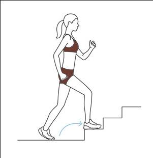 계단오르기 방법, 효과와 주의사항 Workout Stairs