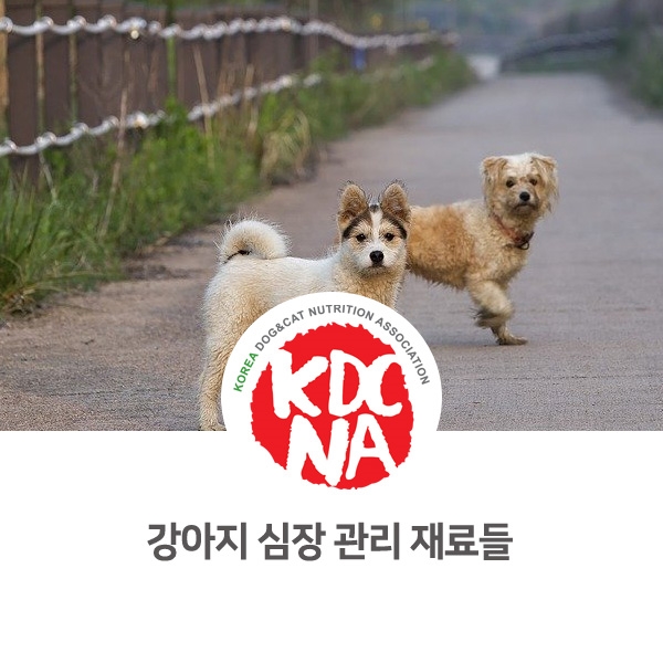  [강아지 고양이 식재료] 반려동물 심장 질환 음식 관리_148