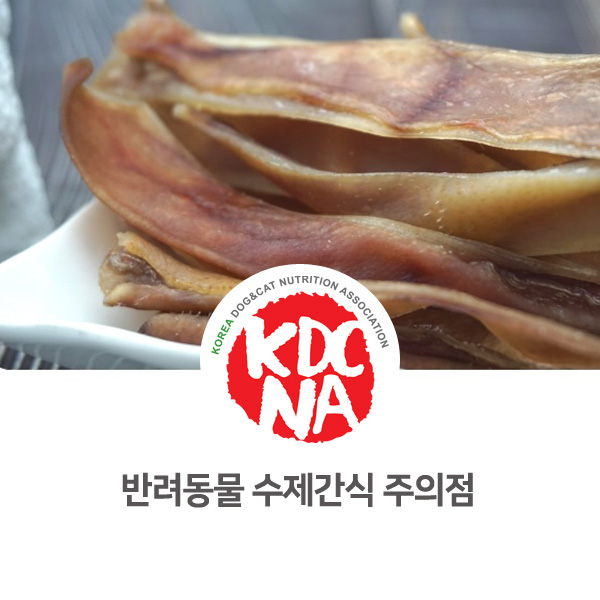  [반려인이 알아야할 필수 정보] 반려동물 수제간식 주의사항_148