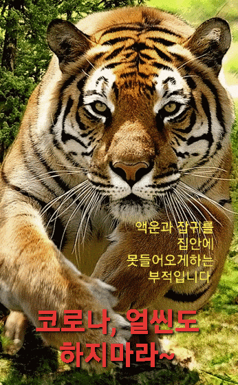  [일상] 코로나 빨리 사라졌으면..