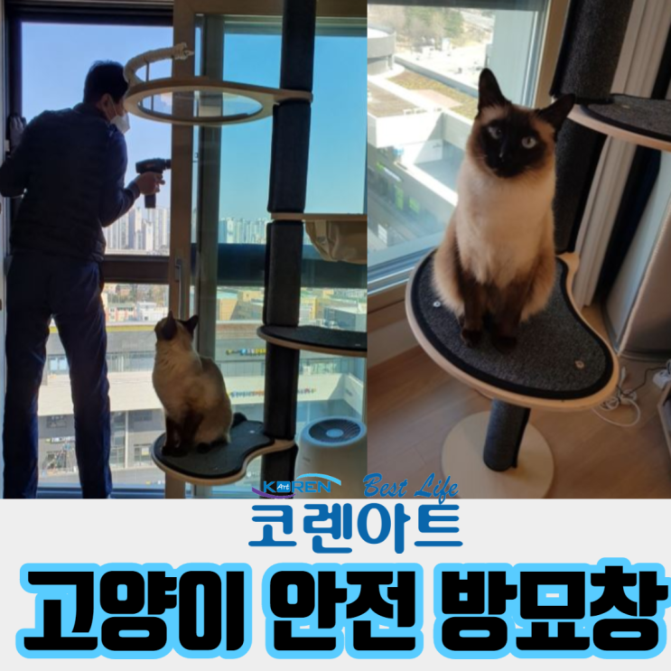 고양이 안전방충망 방묘창 선택은?