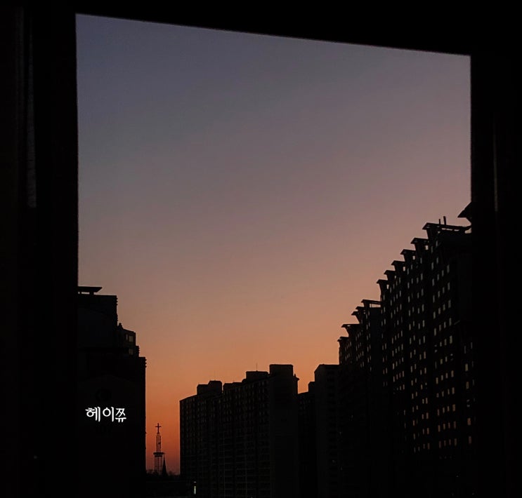  2020.03.01 - 03.15 짧은 일상
