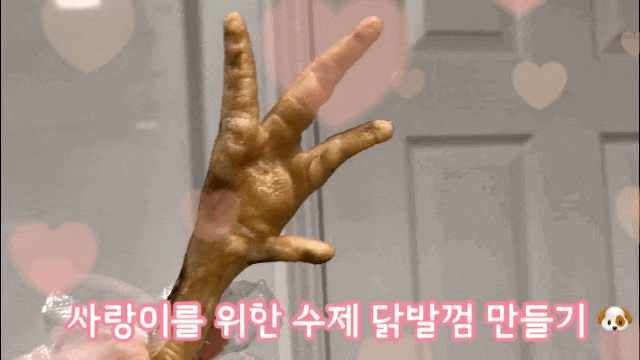  [사랑이 간식] 강아지 간식 건조닭발껌 만들기