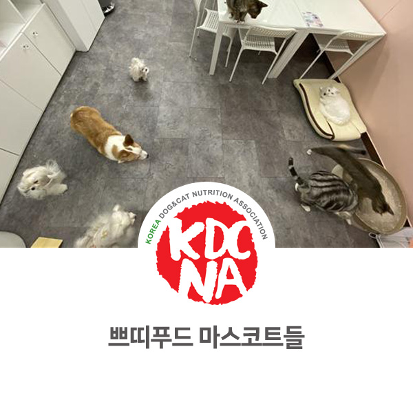  [반려동물 영양 수제간식 창업] 쁘띠푸드의 아이들을 소개합니다_104