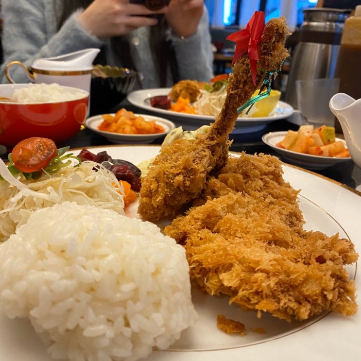  정발산동 밤가시마을 돈까스 잘하는집 몽화 다녀온 후기