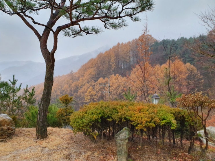 [가평별장 예약] 바쁜 도시생활을 떠나 자연과 잘어우러진 고급 가평별장에서 가족이나 연인이 하루을 힐링할수 있는 별장..예약!!