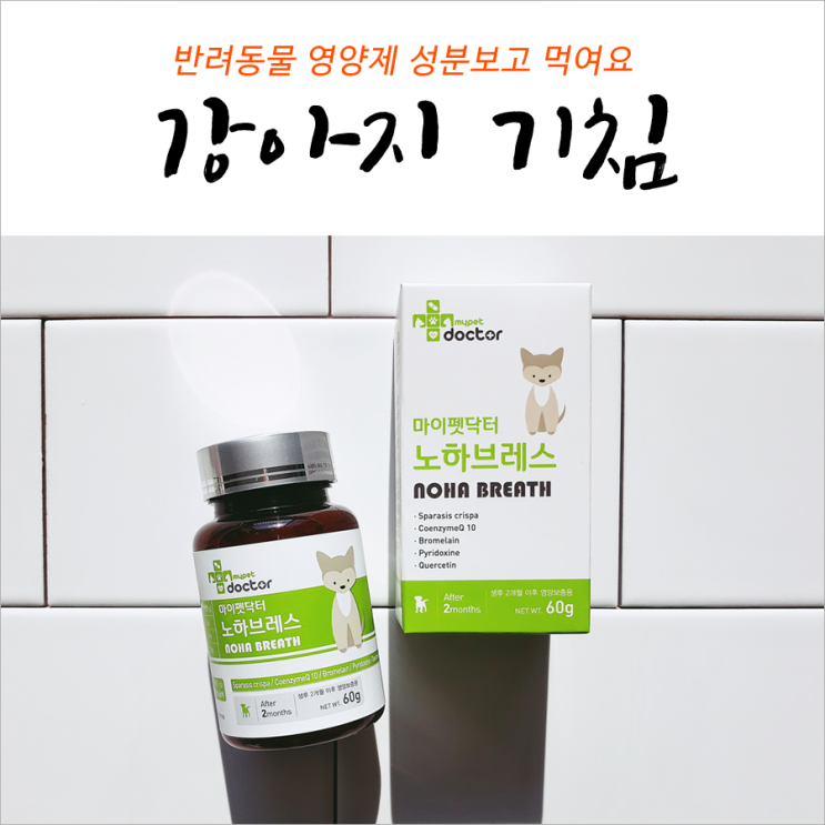  반려동물기침영양제 성분보고 먹여요