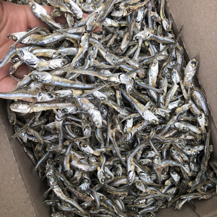 신건호멸치 햇 안주용 고바멸치 1.5KG, 1box 추천해요 신건호멸치 햇 안주용 고바멸치 1.5KG, 1box 추천해요