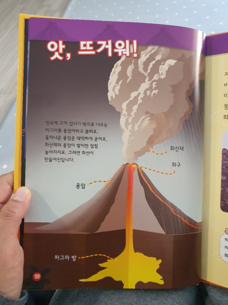 ESC와 함께 하는 과학산책] 보통 평안하지만 아주 가끔은 치명적인 지구에서의 삶 : 숲사이 이야기, image size:800x1067