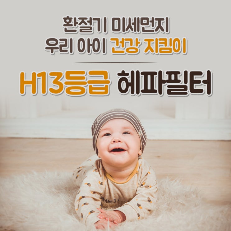  ️ 삼성전자 블루스카이 3000 AX041FCV 필터 CFXB100D CFX2TCD 국산 H13 공기청정기 5부직포 1장 [2,500원]