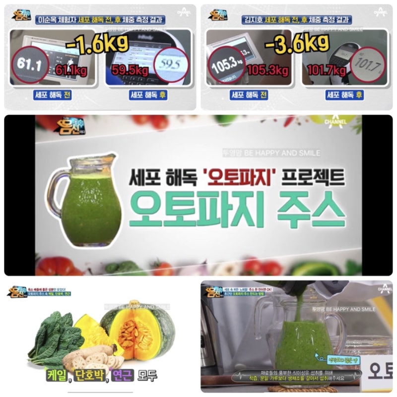 세포 해독 프로젝트 오토파지주스 1