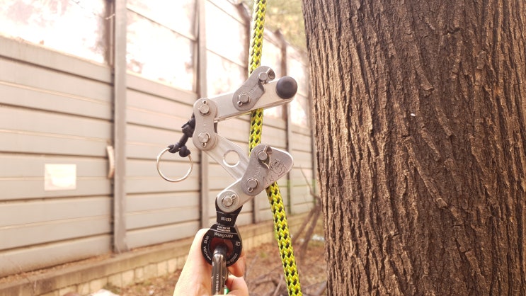  Adjustable Bulldog Bone 정검과 Akimbo와 비교
