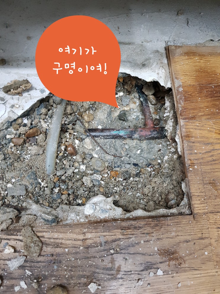  참 좋습니다, 니 미칫나?