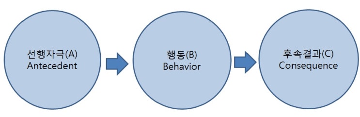 [부산ABA] ABA의 핵심원리 (A-B-C) 유관 이론