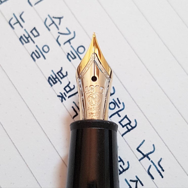  사평역(沙平驛)에서 (몽블랑 마이스터스튁 145 ef닙)