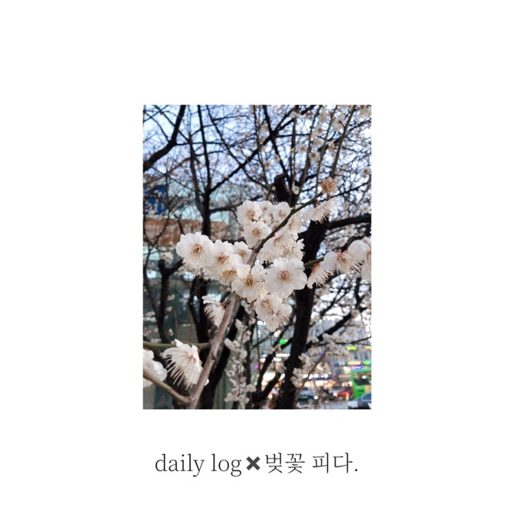 [daily log] 벚꽃 핀 합정역