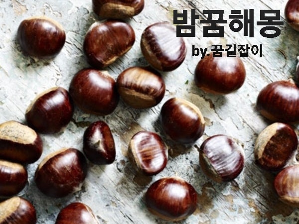 밤꿈 알밤꿈 해몽 밤 꿈해몽 : 네이버 블로그