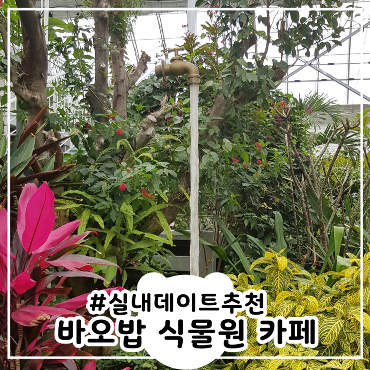  화성 바오밥 식물원 베이커리&카페 #실내데이트