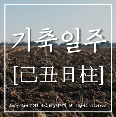 부산/남포동/사주타로상담소] 기축일주(심화편) : 네이버 블로그