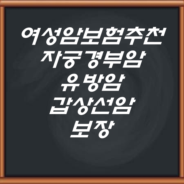  여성 암보험추천 유방암과 갑상선암 자궁경부암 알아보기