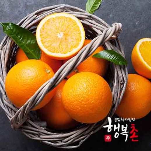 퓨어스펙오렌지 퓨어스펙 블랙라벨 오렌지 대과(250g내외) 20과 추천해요 퓨어스펙오렌지 퓨어스펙 블랙라벨 오렌지 대과(250g내외) 20과 추천해요