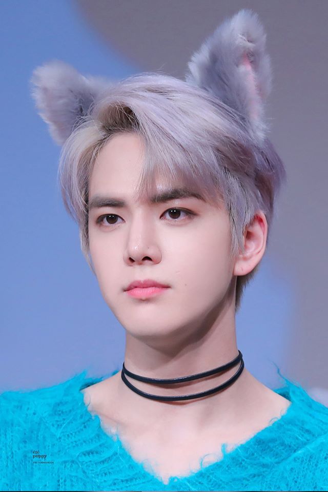 더보이즈 팬싸템들 더보이즈 팬싸템들