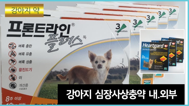 강아지 심장사상충약 . 하트가드와 프론트라인이면 완료. 강아지 심장사상충약 . 하트가드와 프론트라인이면 완료.