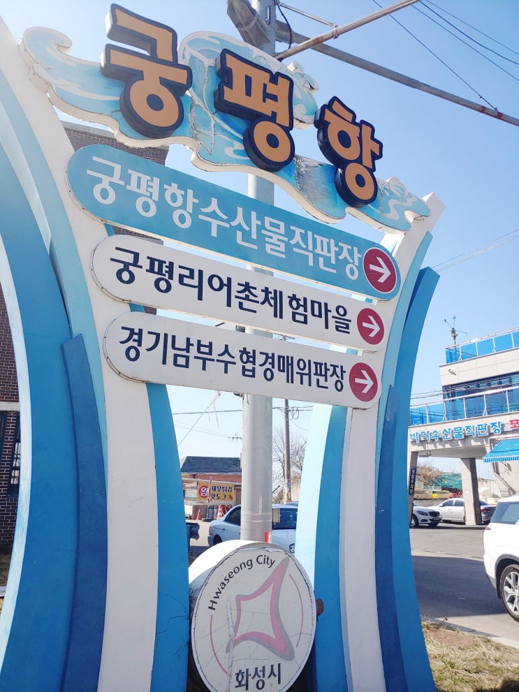 화성 궁평항 수산시장 쭈꾸미 새조개