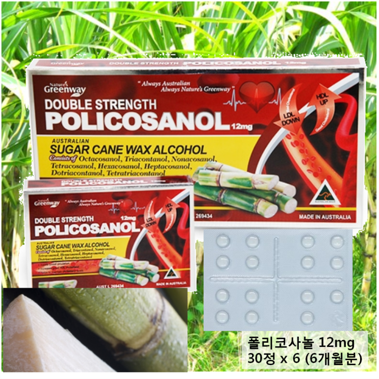  ️ 네이쳐스그린웨이 폴리코사놀 12mg 고함량 180정 6개월분 1개 [180,000원]