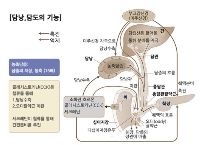 담석제거, 담낭 수술 비용 및 후기(Feat.단일통로 복강경) : 네이버 블로그