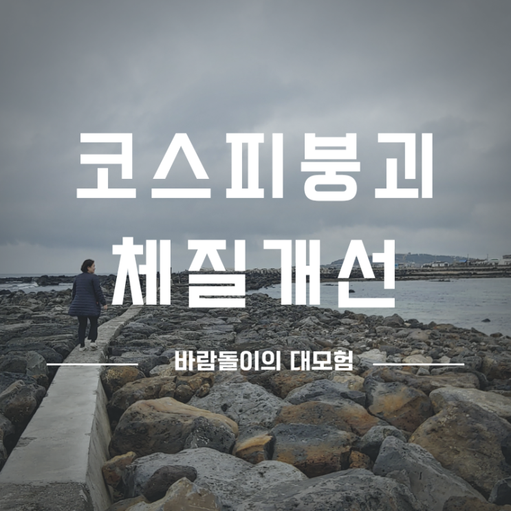  코스피 1500선 붕괴 체질개선