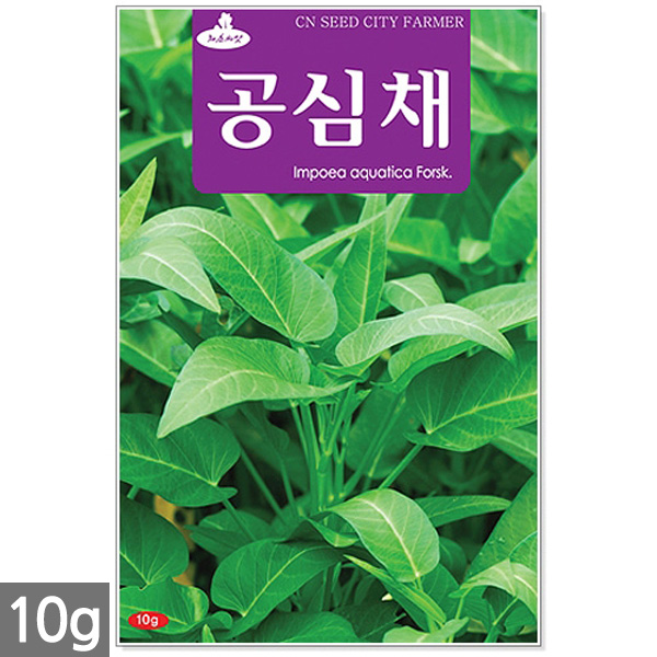 청농종묘 청룡무 씨앗 15g 무씨앗 무씨 봄무씨앗 가을무 채소씨앗 무 무우, 08_공심채(10g) 추천해요 청농종묘 청룡무 씨앗 15g 무씨앗 무씨 봄무씨앗 가을무 채소씨앗 무 무우, 08_공심채(10g) 추천해요