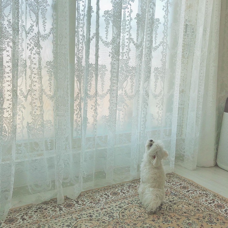 거실 인테리어, 데코뷰 레이스 커튼으로 분위기 있게